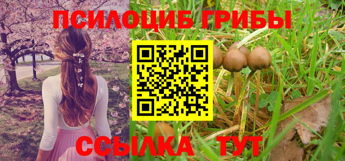 Ярославль  Псилоцибиновые грибы Magic Shrooms  Вход с VPN  цены наркотик  Псилоцибиновые грибы Magic Shrooms 