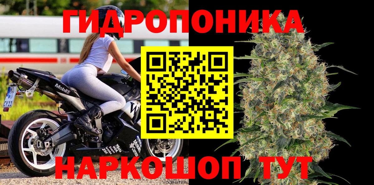 Конопля план Ярославль